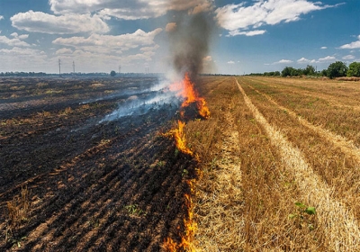 crop-residue-management