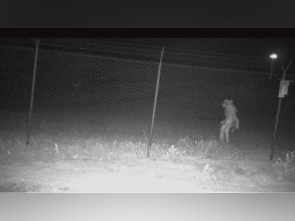 A Mysterious Creature found in Amarillo zoo in Texas