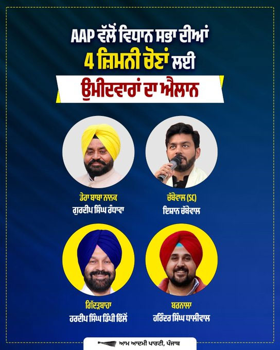 AAP Announces Candidates