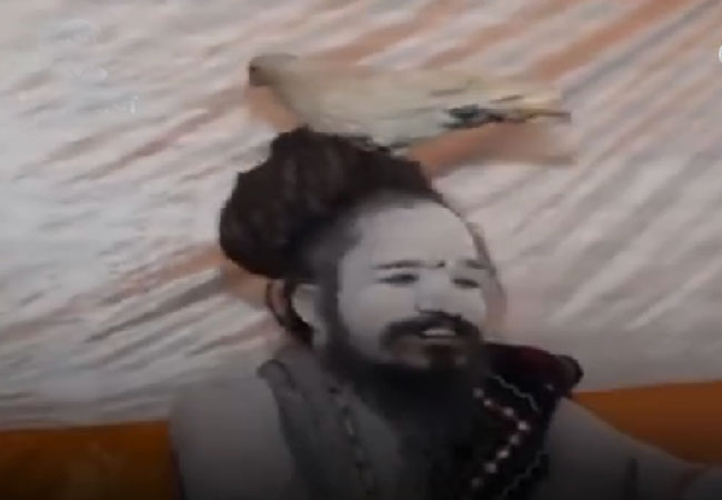 Kabootar Wale Baba Viral