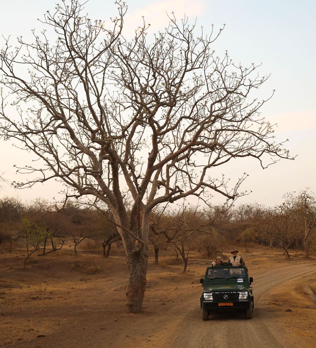 PM Modi Gir National Park