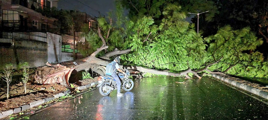 Zirakpur Billboard Collapse Several Vehicles Damaged Chandigarh Tree Falls