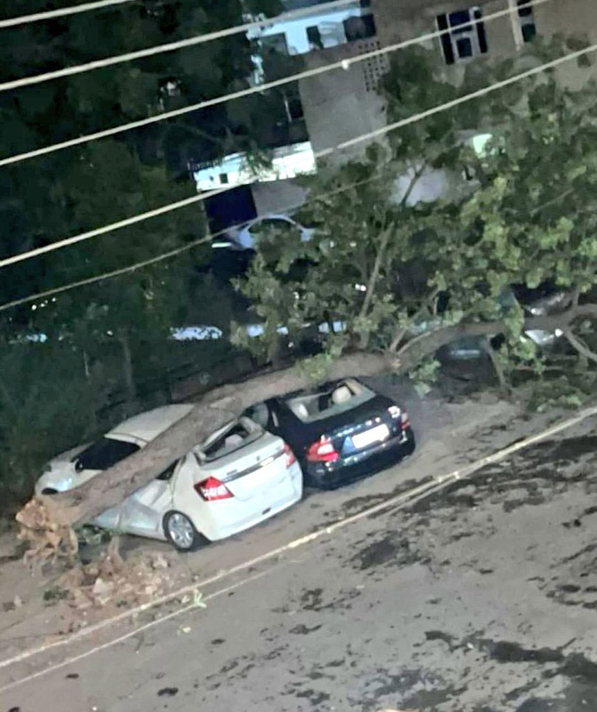 Zirakpur Billboard Collapse Several Vehicles Damaged Chandigarh Tree Falls