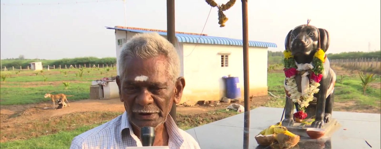 Tamil Nadu Man built temple of his pet dog in memory 