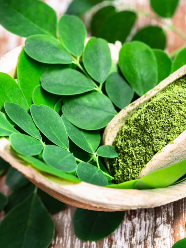 Moringa Leaves से Vitamin B12 की कमी तुरंत पूरी करें, जानें सही उपयोग तरीका.