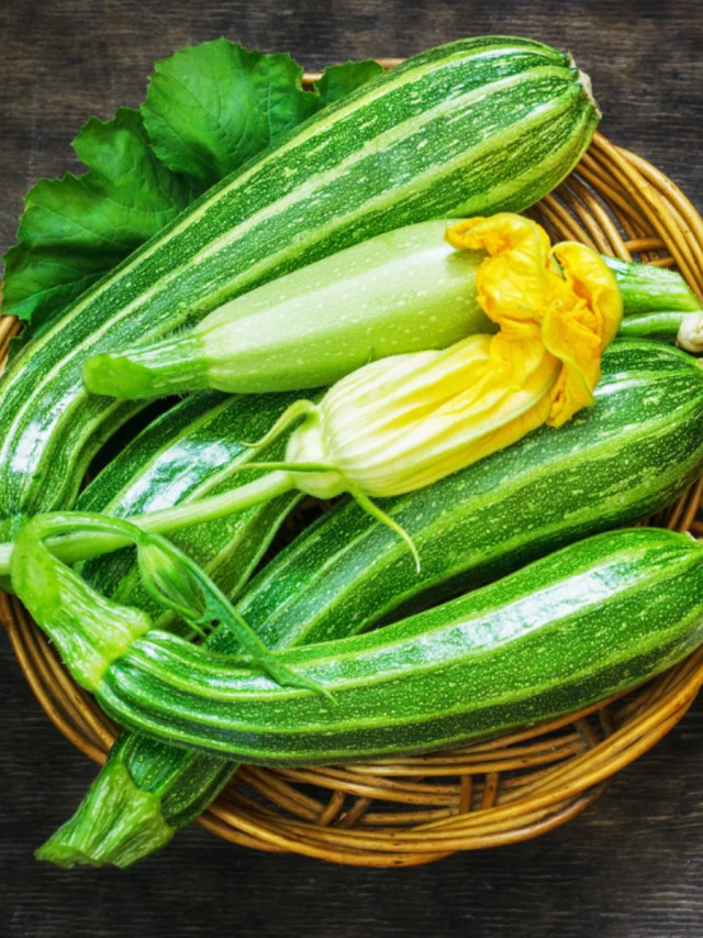 बारिश के मौसम में जुकीनी खाने के फायदे