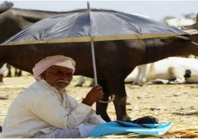 लू की चपेट में आने से ऐसे बचें