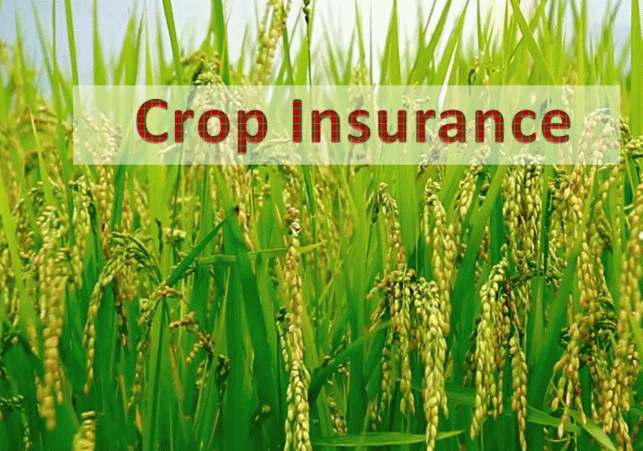 Modi government announces record allocation of 69515 crore for crop insurance on New Year