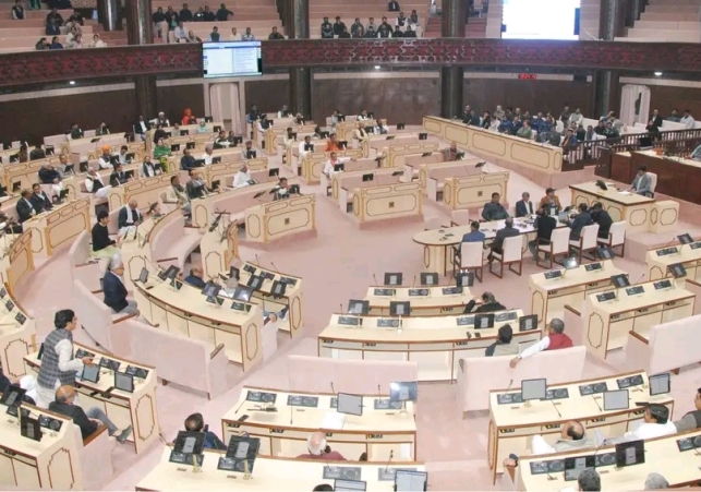 Earlier it symbolized farmers and greenery, now it represents royal luxury Rajasthan Assembly's pink carpet sparks political clash as Congress targets the government