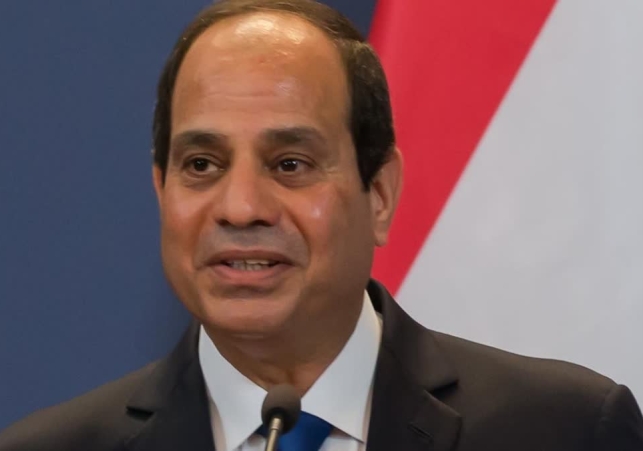 Egyptian President proposes ceasefire for 2 days in Gaza