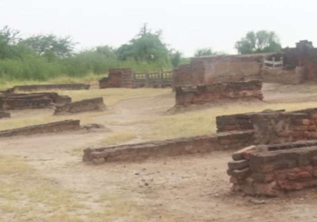 Soil Collapse at Harappa Site