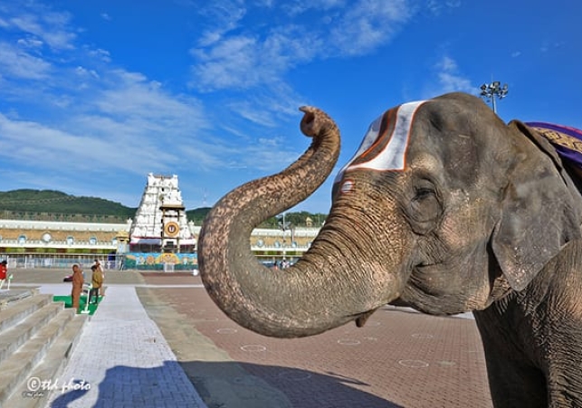 Political speeches banned in Tirumala