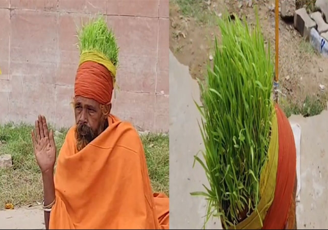 Anaaj Wale Baba in MahaKumbh 2025 Story Prayagraj Sangam Video News