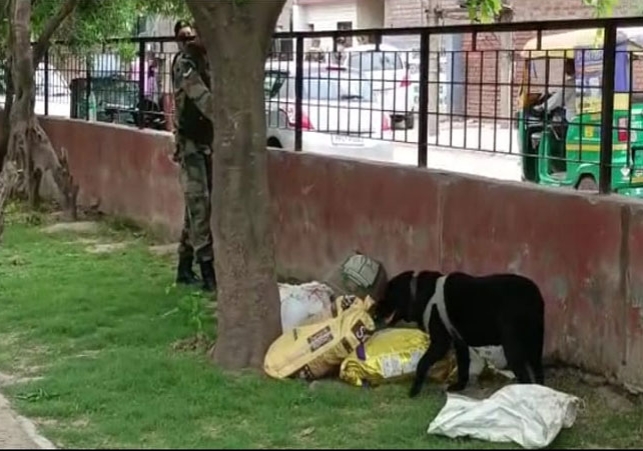 Bomb Shell Found in Panchkula Park