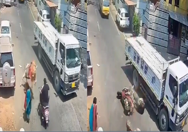 Bull Attack on Scooty Rider Bengaluru Video Viral Latest News