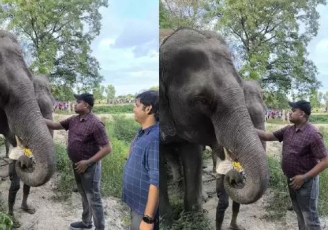 Operation Tiger in Lakhimpur Kheri