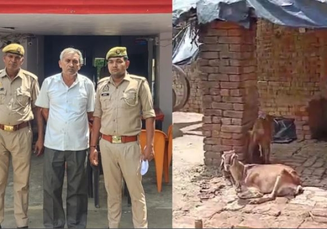 Goat raped in Bulandshahr