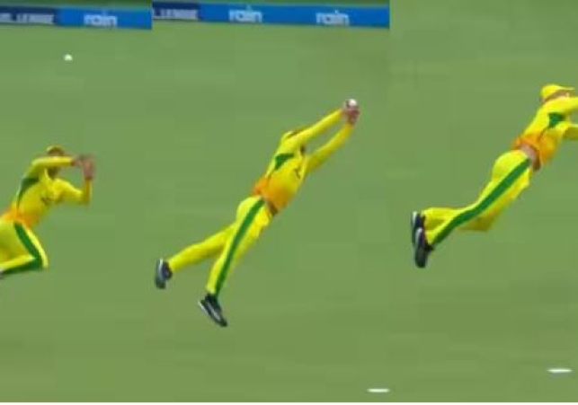 Faf du Plessis Fantastic Catch