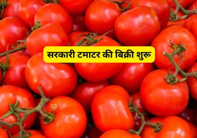 Tomato Prices