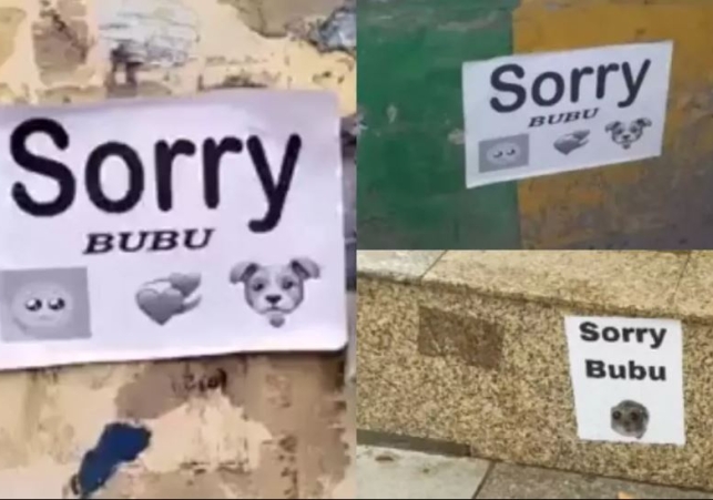 Sorry BuBu