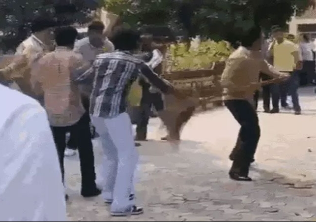 Chandigarh SD College Students Fight