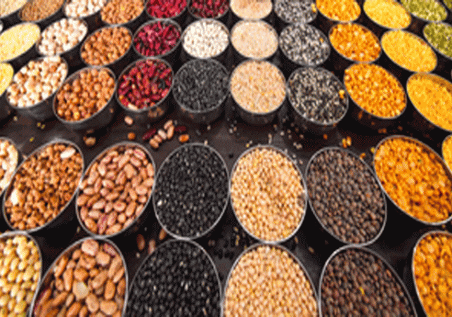 Yogi government's complete plan to make UP self-reliant in pulses and oilseeds