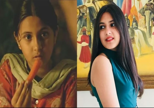 Dangal Babita Actress Suhani Bhatnagar Death Shocking News Bollywood