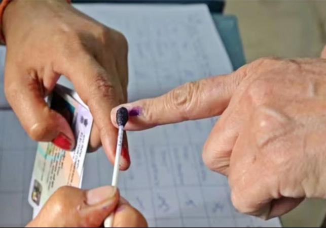 Haryana Chunav 9.53% Voting Recorded Till 9AM Panchkula Lowest Voter Turnout