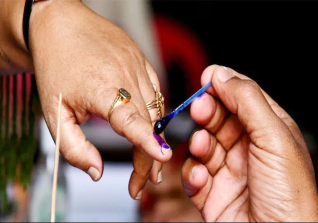 Haryana Election 36.69% Voting Recorded Till 1 PM Panchkula Voter Turnout