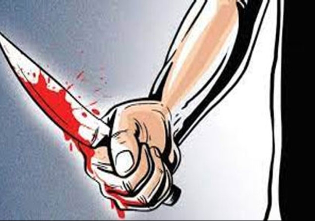 Haryana Man Killed Wife With Sharp Weapon Than Surrender Police News