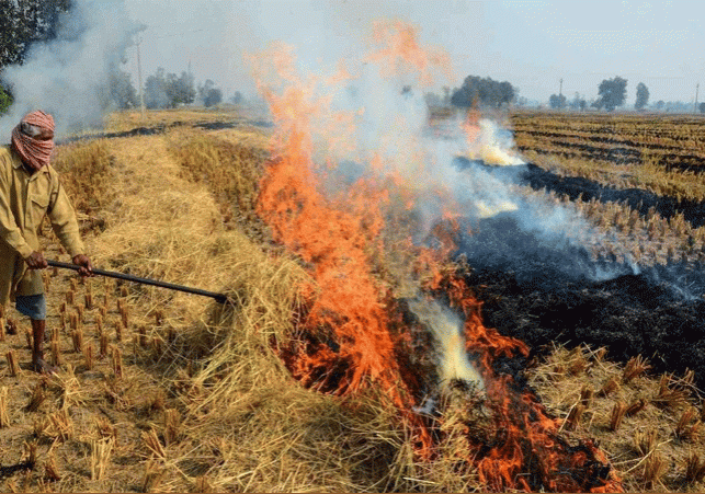 Haryana-Punjab on Burning Stubble Delhi Air Pollution Latest Update