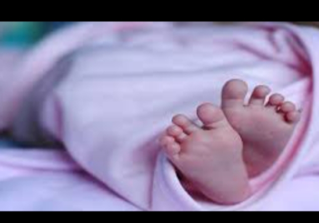 Mother's affection in Devbhoomi once again embarrassed: crying innocent newborn girl was found in the fields.