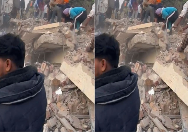 Mohali Building Collapsed