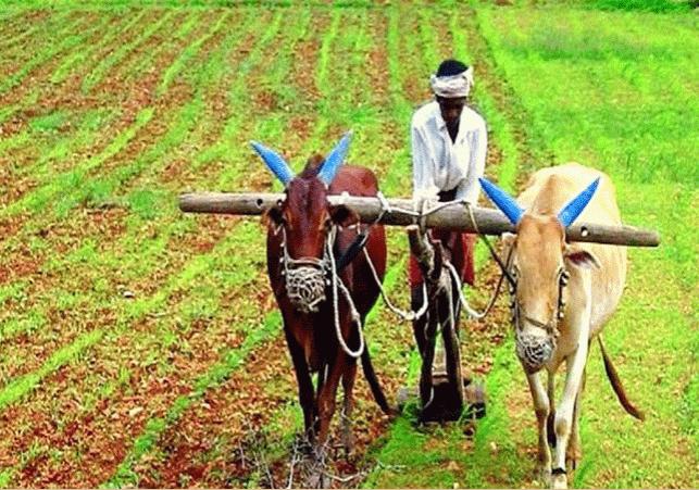 PM Kisan 15th Installment Released Date Latest Update Complete E-KYC Process