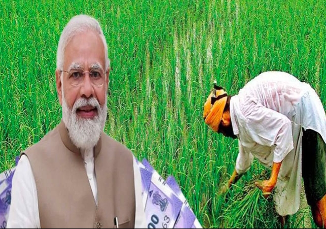 PM Kisan 16th Installment Released Date PM Modi Send 2000 To Farmers