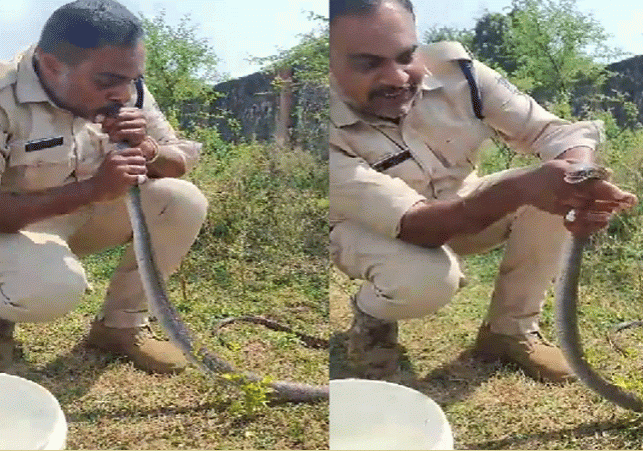 Policeman Gives CPR To Snake Video Viral Latest Update