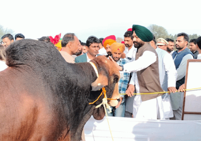 District level milking competition announced