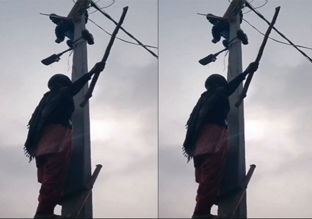 Sambhal Woman Climbed on Bijli Pole Threat To Lineman For Electricity Cut 