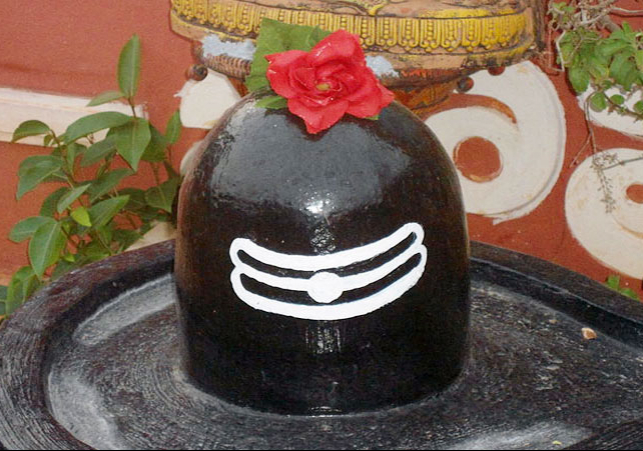 Shivling Puja in Home