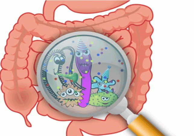 Changes in gut microbiome may cause rheumatoid arthritis