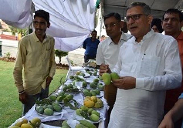 पर्यटन मंत्री श्री कंवरपाल ने पिंजौर के यादविन्द्रा गार्डन में 29वें मैंगो मेले का किया शुभारंभ