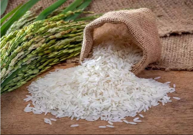 India bans export of non basmati white rice