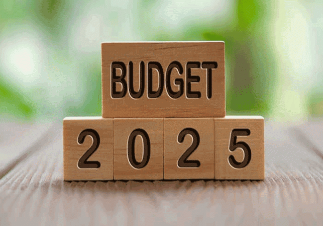 The budget will have a positive impact on the country's economy