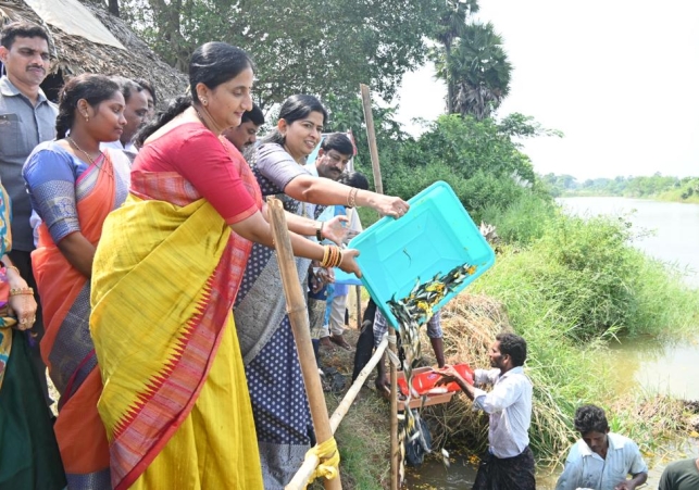 Small Ponds for Fish Farmers