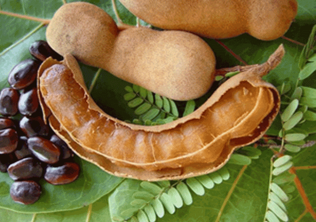 Sweet and sour tamarind has great properties, it controls cholesterol and takes special care of the 