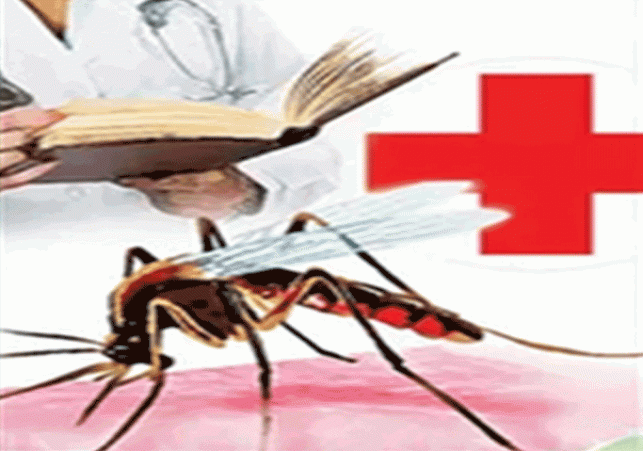 Dengue outbreak in many parts of the country due to monsoon, doctors advised to take precautions