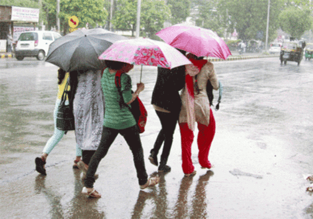 rainDrizzle in Chandigarh and Punjab areas since Monday morning