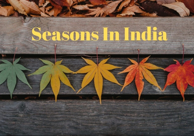 Seasonal Changes in India: The Beauty and Impact of Four Seasons 