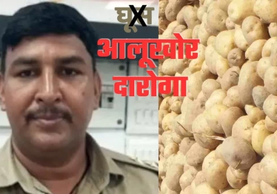 Kannauj Potatoes bribes