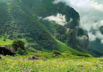 Valley Of Flowers